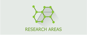 Research Areas b