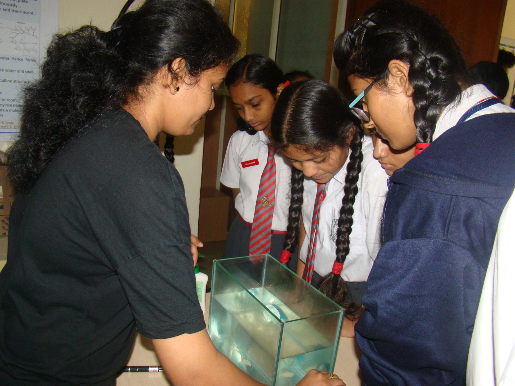 DSC08765.jpg