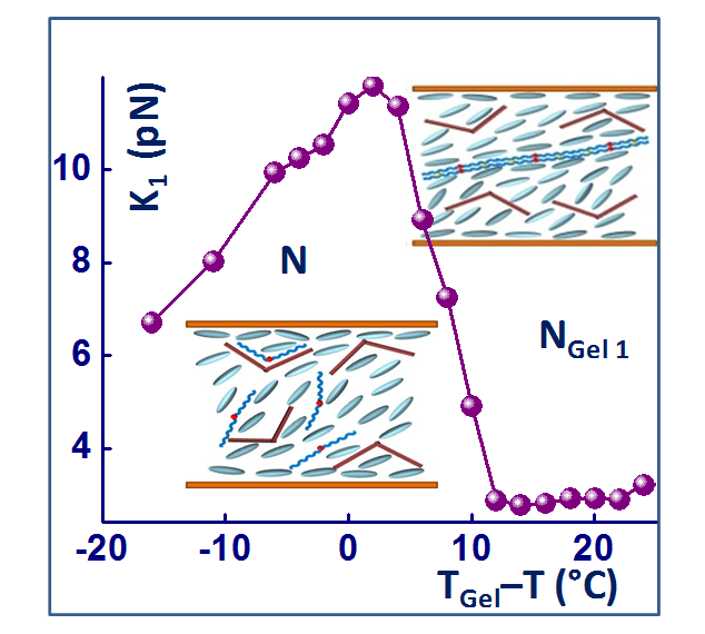 Diminished temperature independent splay elastic constant on gelation