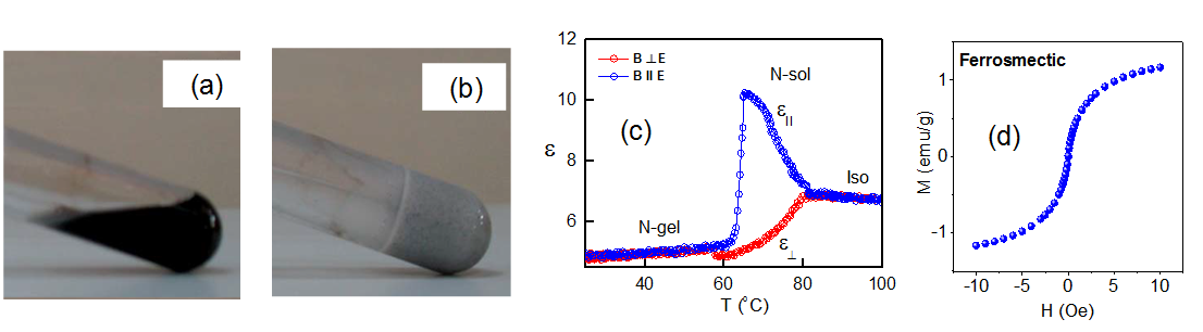 Mechanically robust ferrogels