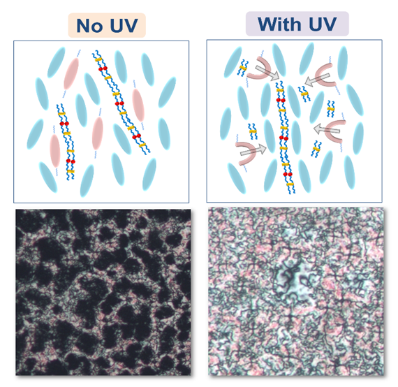 Tuning gelation with light