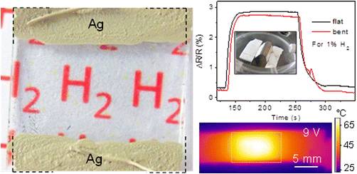 Transparent Pd Wire Network Based Areal Hydrogen Sensor with Inherent Joule Heater