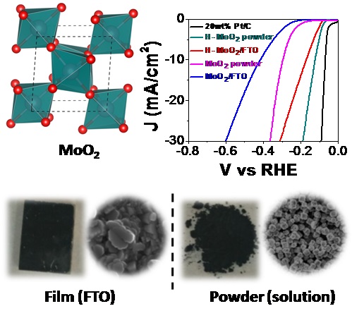 MoO2 nanostructures for Electrochemical Hydrogen evolution
