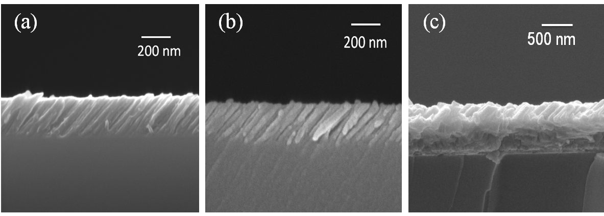 Structural properties and wettability of TiO2 Nanorods