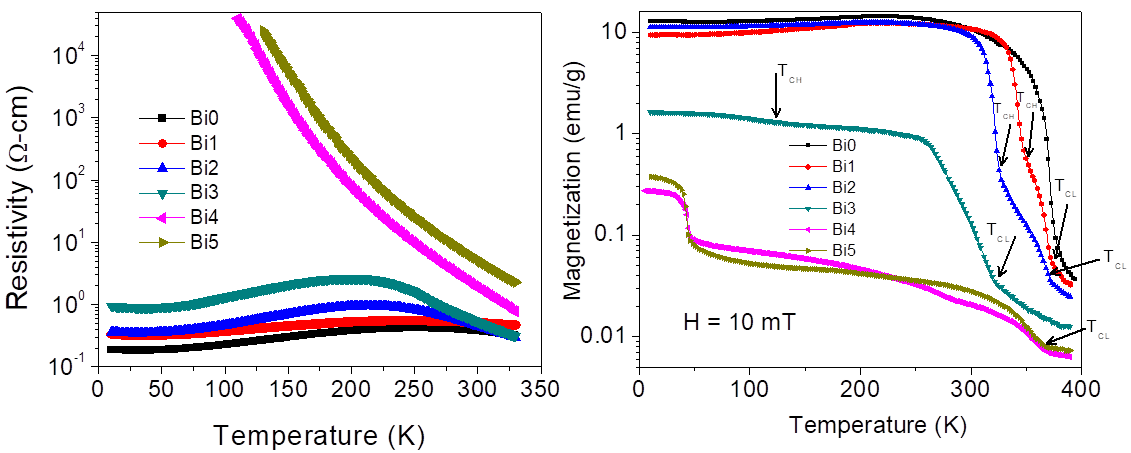 Study of coexisting phases in Bi doped La0.67Sr0.33MnO3